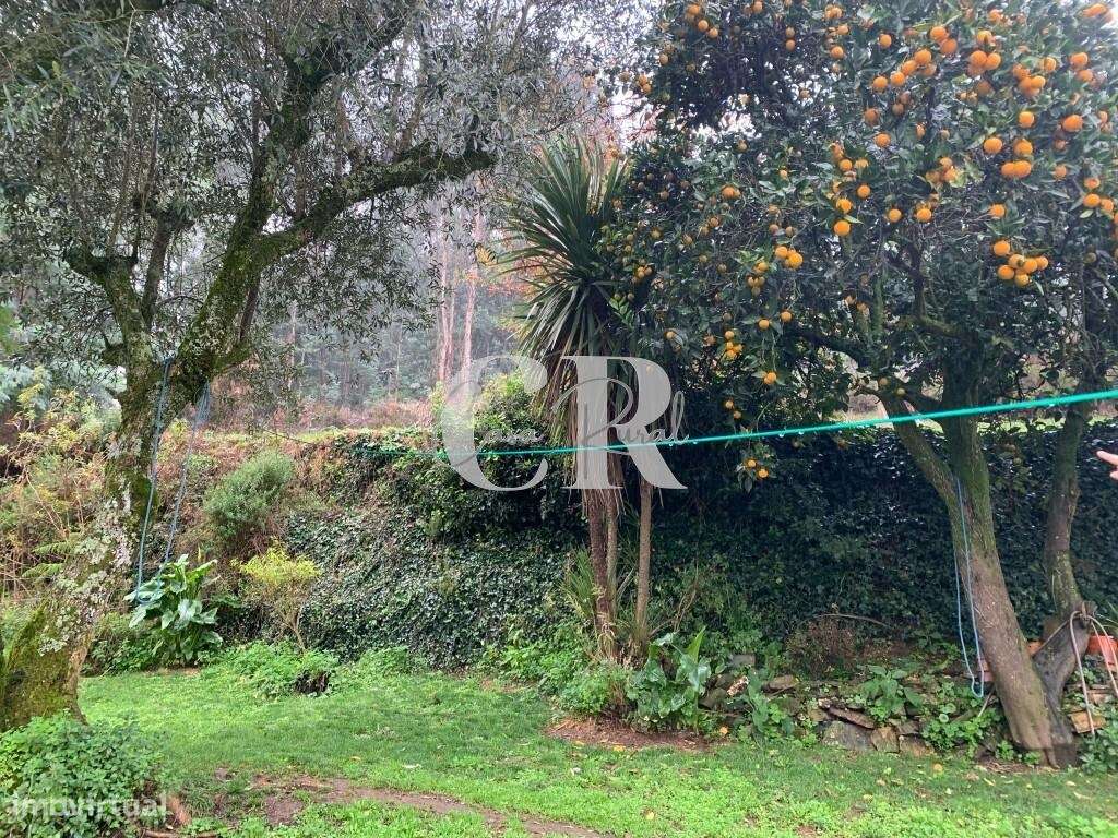 Casa de 4 quartas renovada com terreno em Vila Nova de Poiares-43