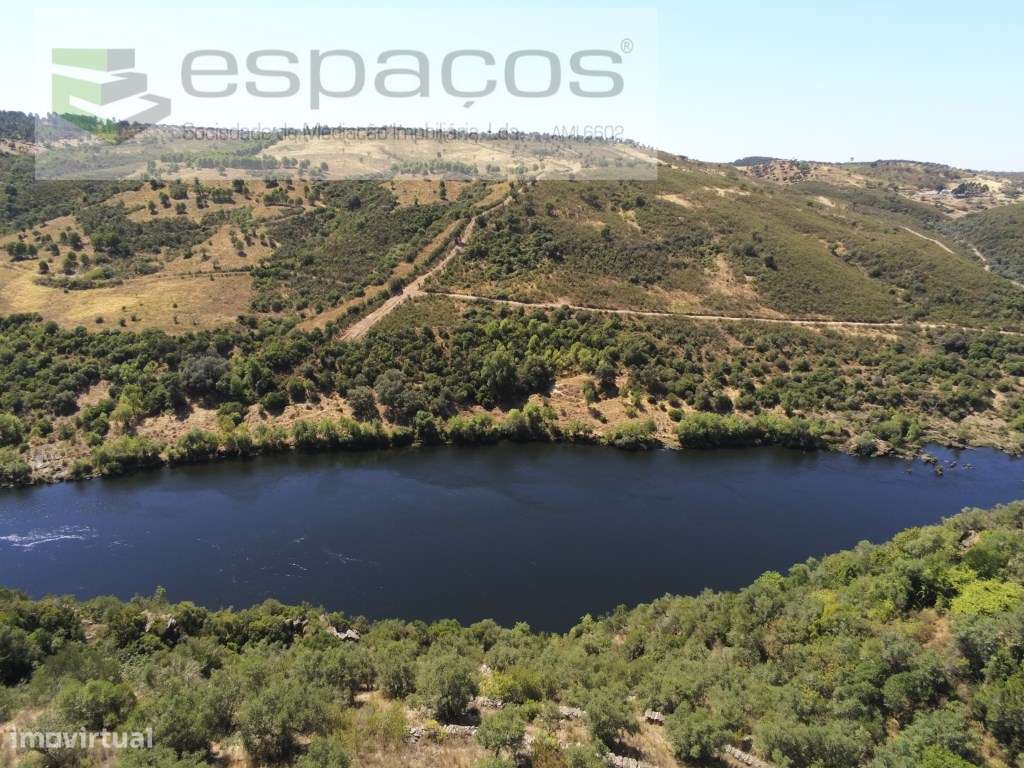 Quinta Rustica junto ao Rio Tejo - Grande imagem: 4/22