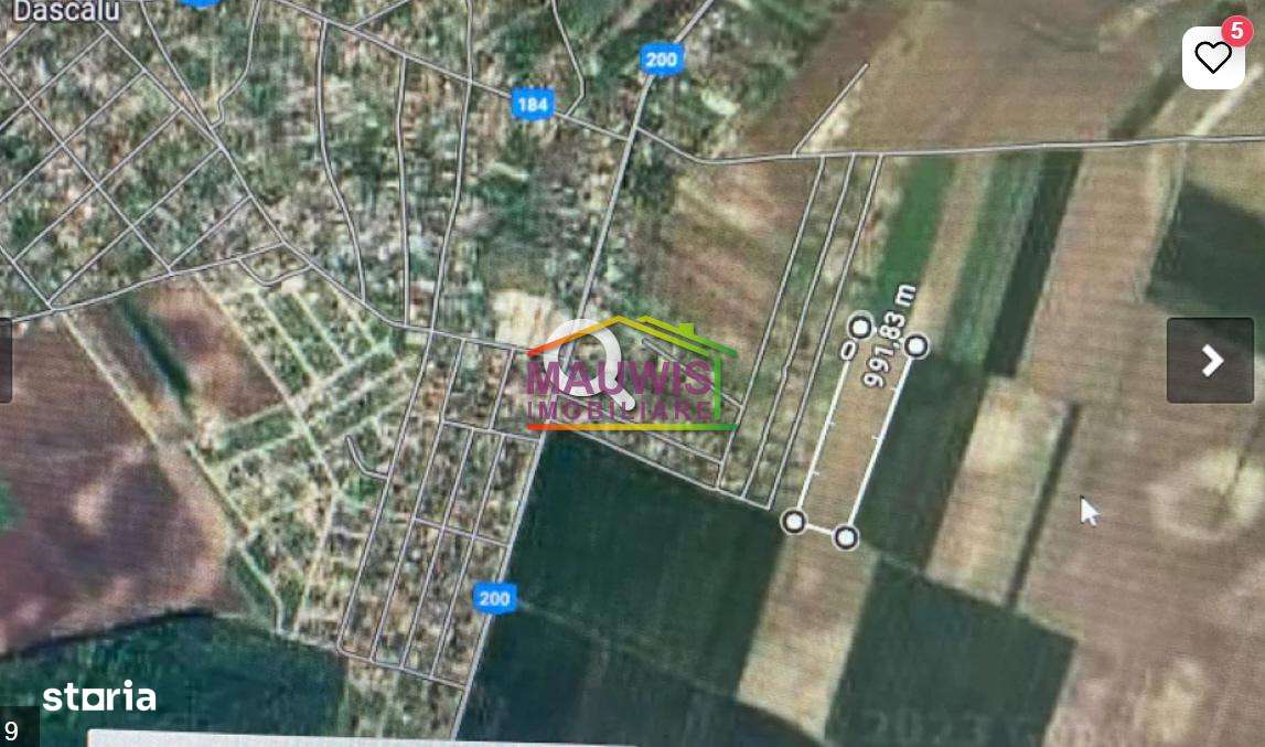 Vand teren intravilan comuna Dascalu 1,8 ha cu deschidere de 50 ml - Imagine principală: 1/4