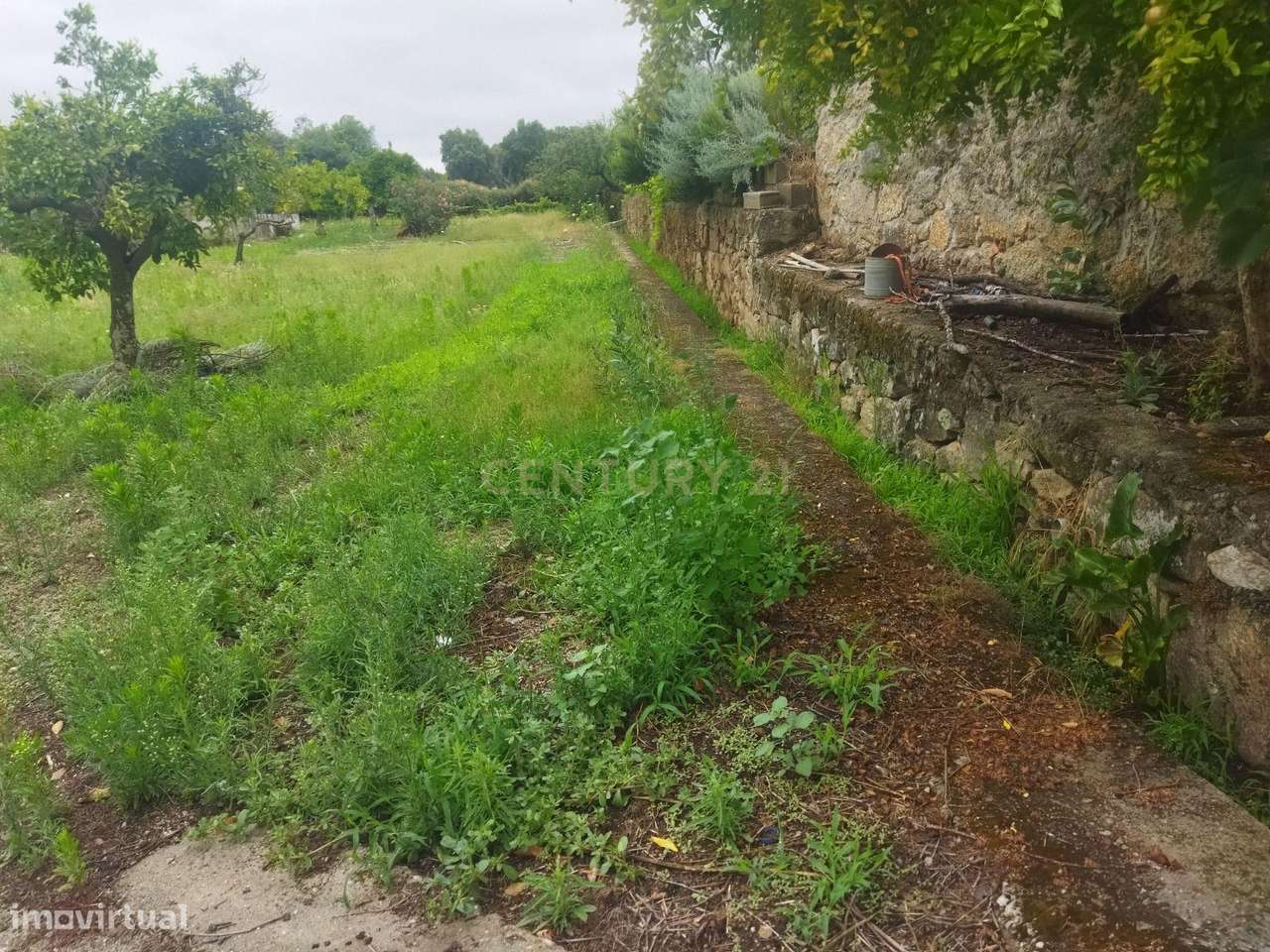 Terreno Rústico na Lousa, Castelo Branco-11