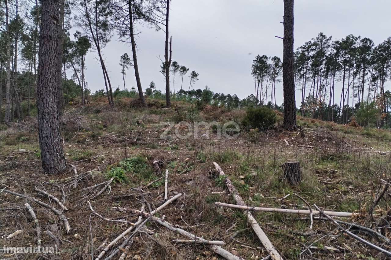 Terreno agricola e florestal.-20
