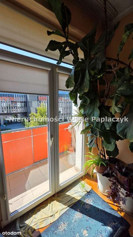 Mieszkanie w centrum, przy Starym Browarze - Pełny obrazek: 2/12