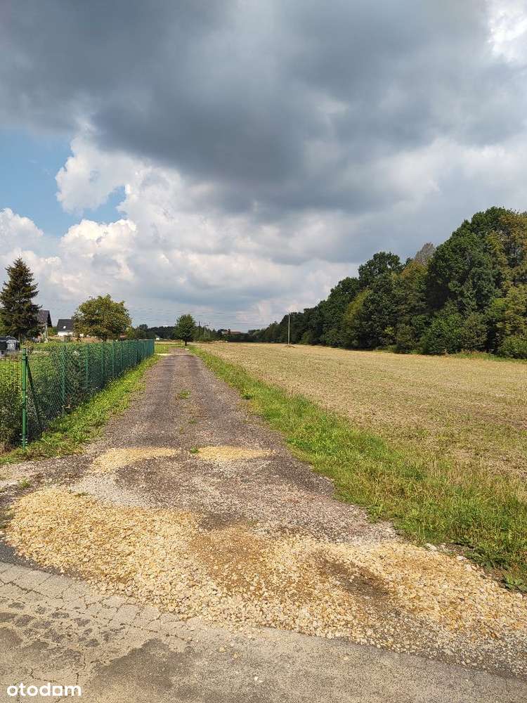 Działka na Sprzedaż Babice-Oświęcim - Pełny obrazek: 5/5
