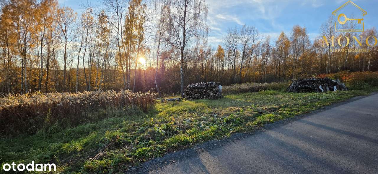 Duża, widokowa działka z lasem na terenie Pogórza Ciężkowickiego-7