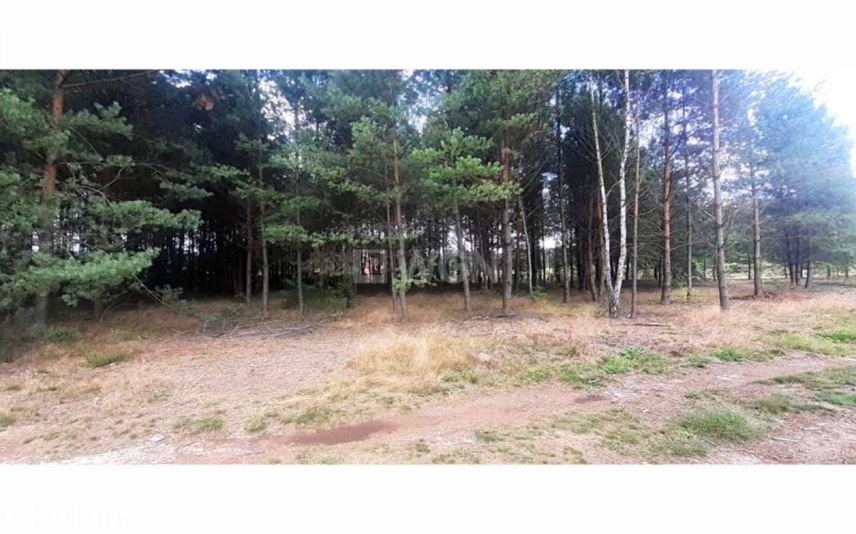 Działka, 1 249 m², Żarki - Pełny obrazek: 4/12