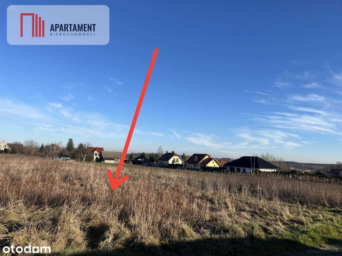 Duża działka w Dolinie Baryczy-media w drodze - Pełny obrazek: 2/10