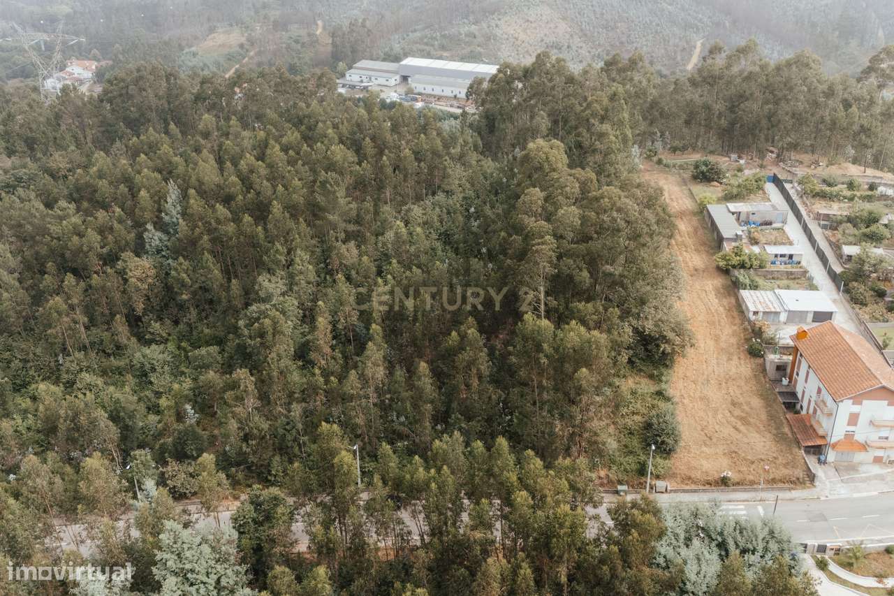 Terreno Misto Residencial e Florestal - Medas, Gondomar - Grande imagem: 5/6