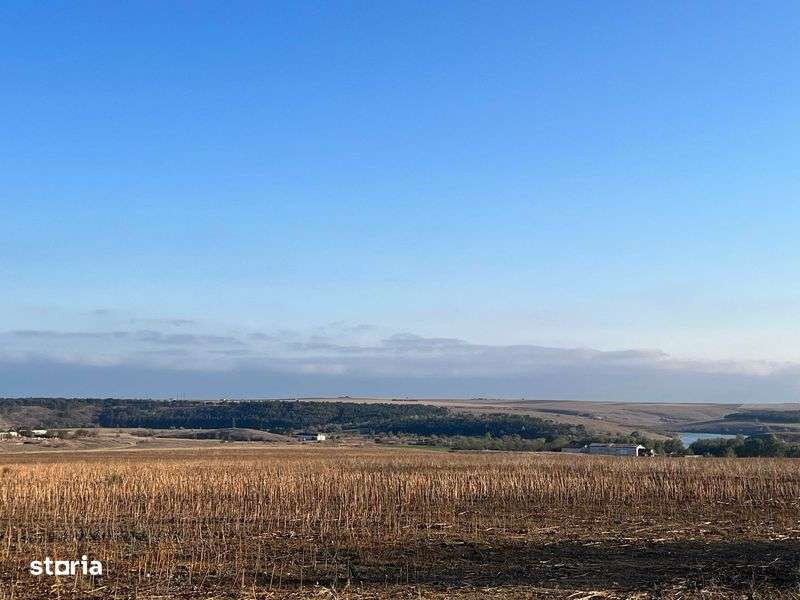 Teren arabil 15 ha compact - Imagine principală: 5/6