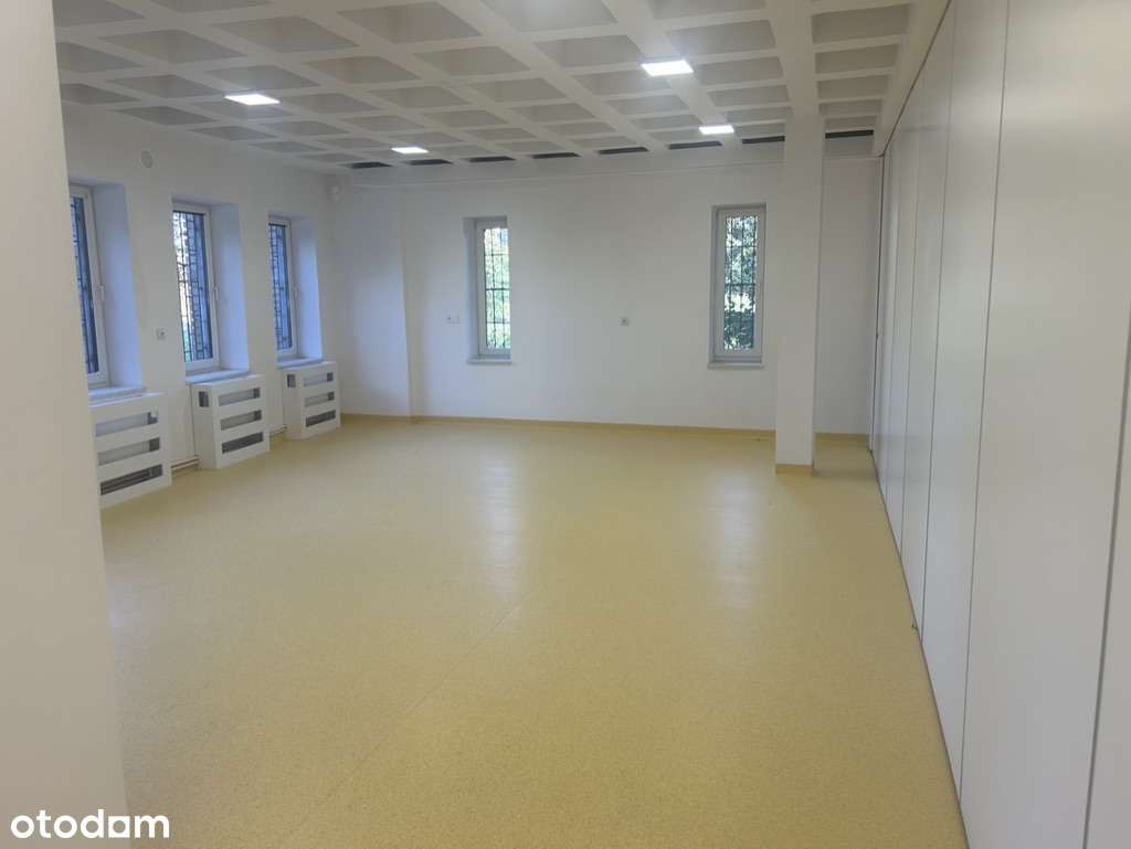 Wynajmę lokal usługowy 690 m2 Warszawa ul. Łazienkowska - Pełny obrazek: 1/11