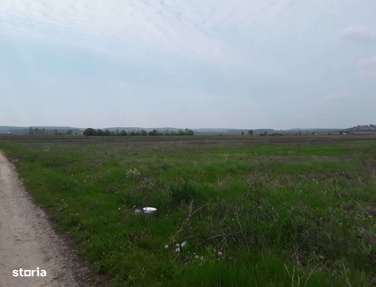 Teren extravilan, Cotofenii din Fata, jud Dolj -id 6954-04.06 - Imagine principală: 1/8