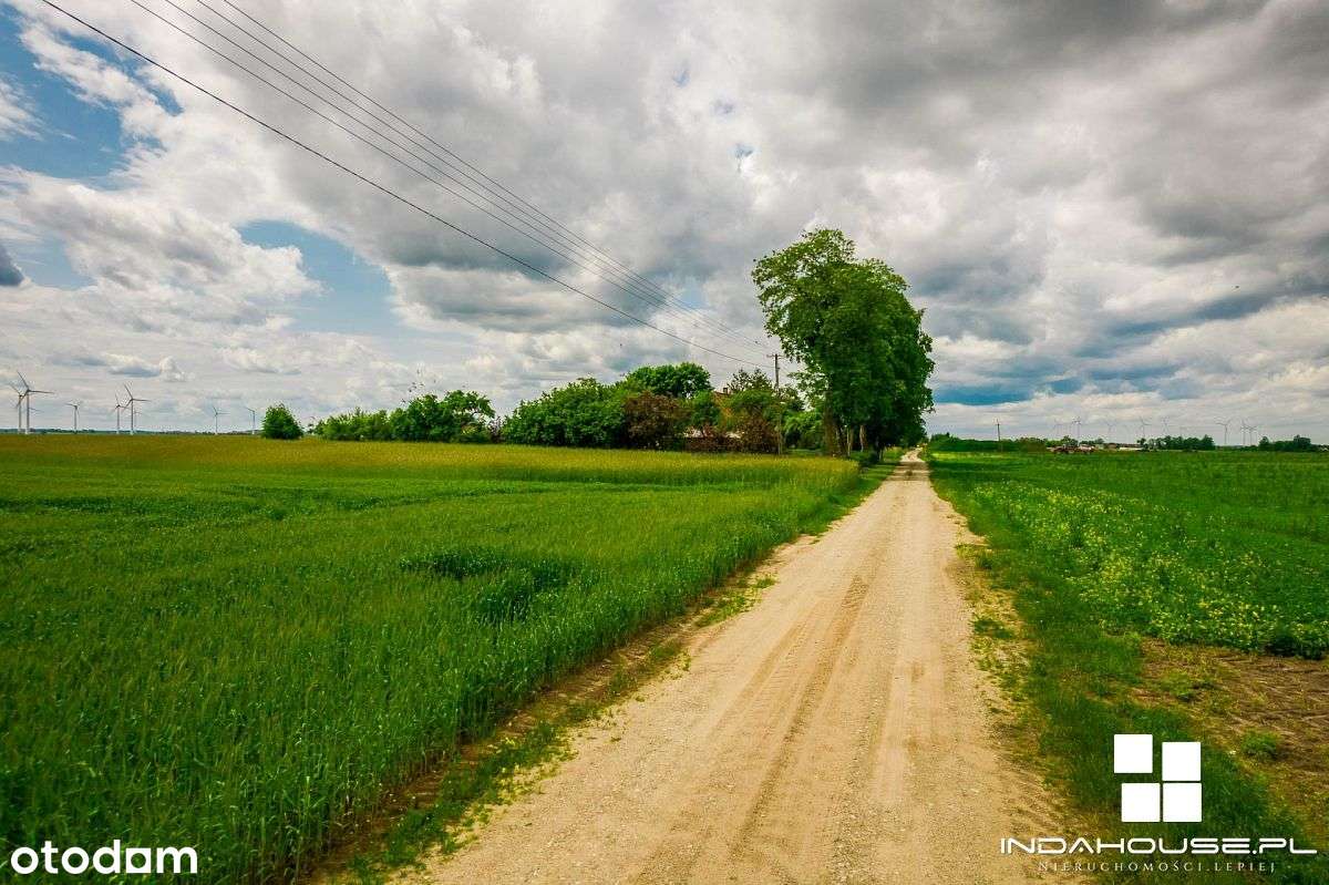 Duża działka pod budownictwo jednorodzinne Skórowo - Pełny obrazek: 4/8