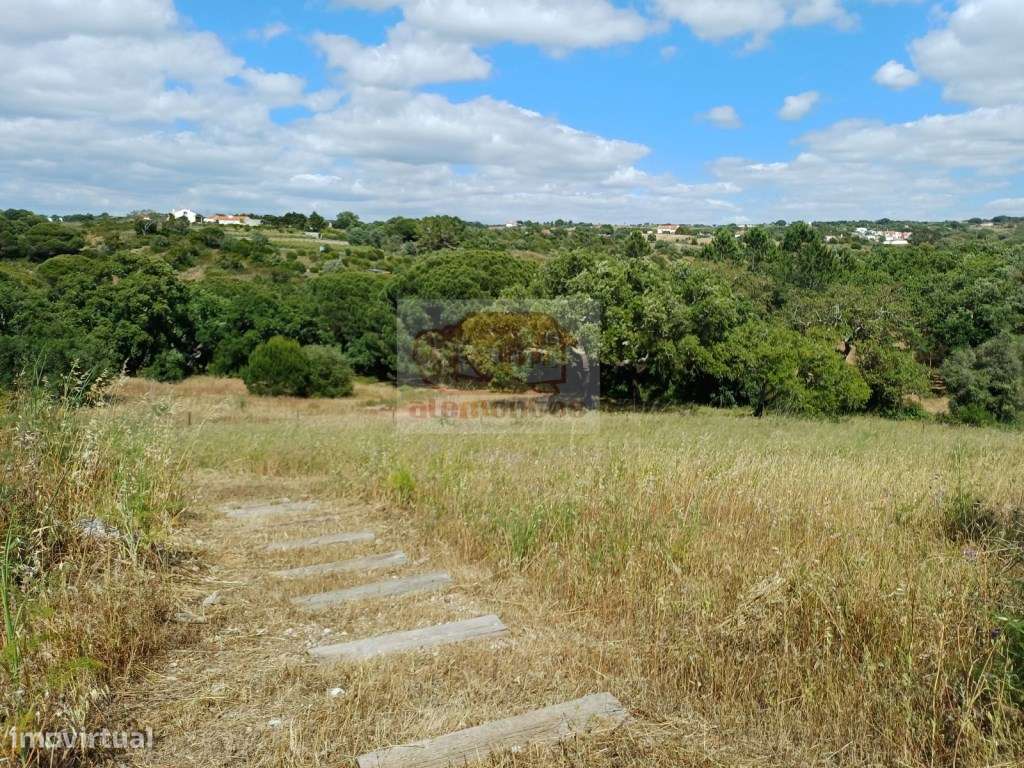 Monte Alentejano - Sul de Melides e 35 minutos da Comporta-22