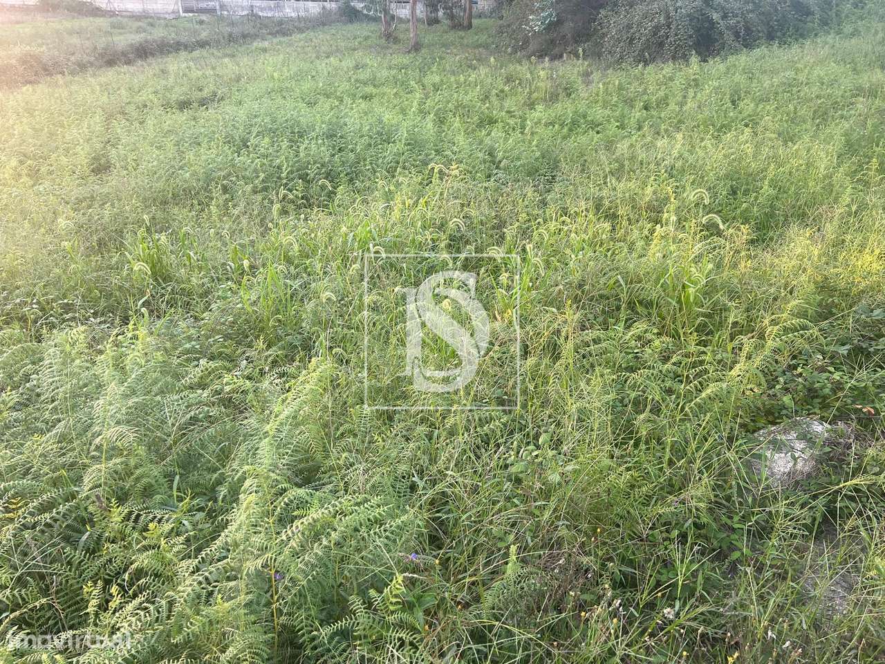 Terreno, Porto, Paços de Ferreira, Eiriz - Grande imagem: 5/7