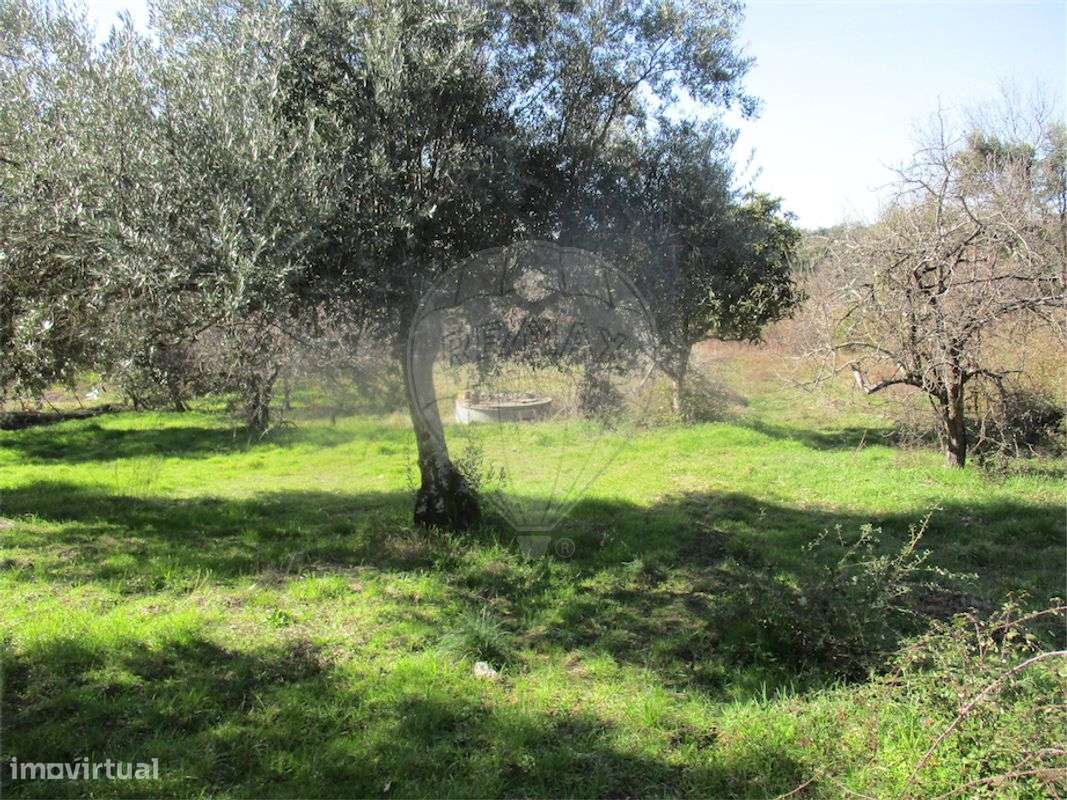 Quinta  para venda - Grande imagem: 4/24