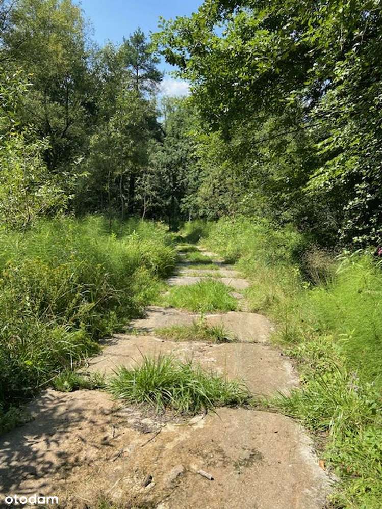 Żywiec ul Niwy -działka budowlano-leśna ,media w drodze, wąska droga-1