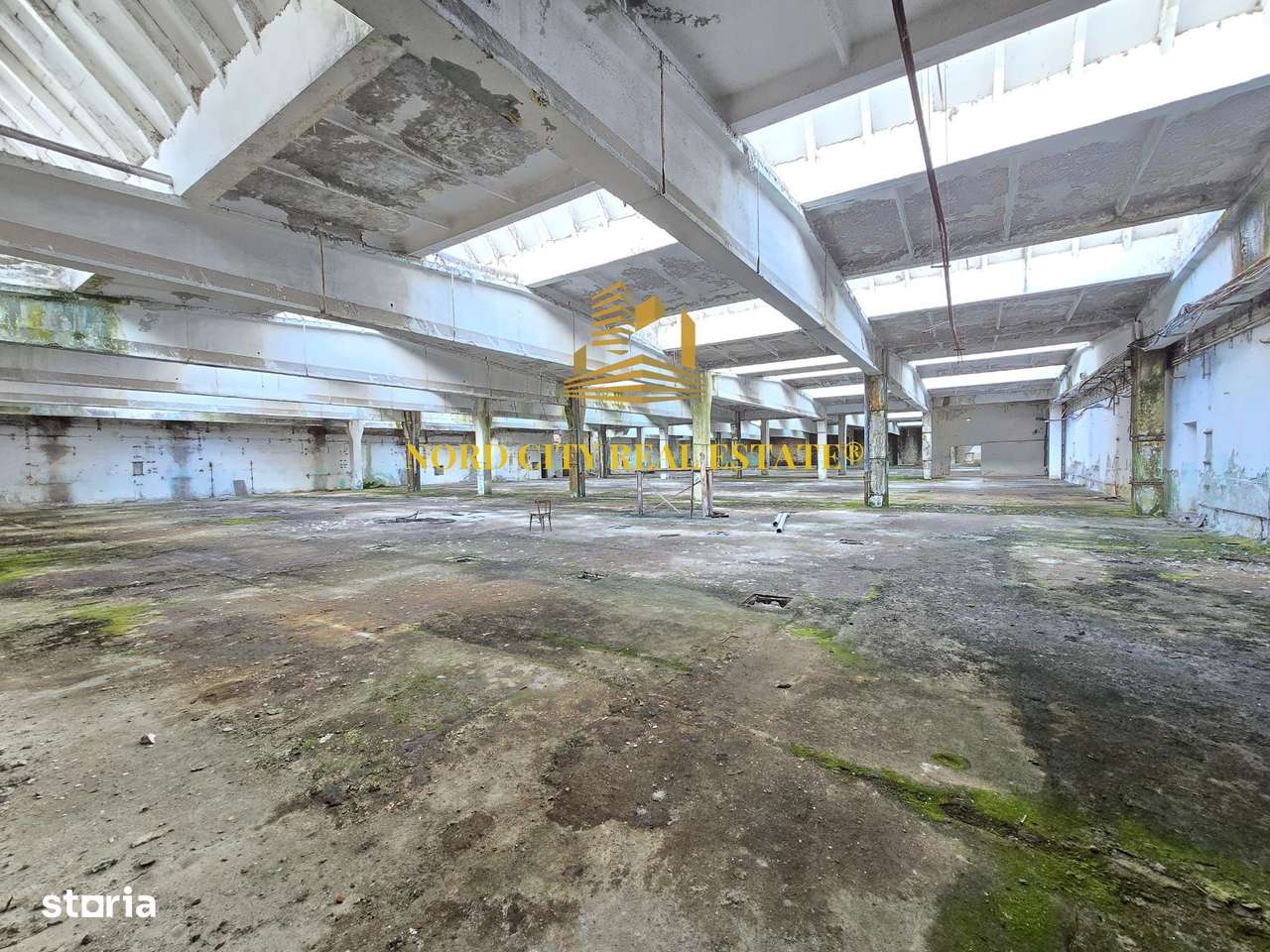 Platforma Industriala-8 ha -Fabrica-Hale Productie-21.500 mp-11