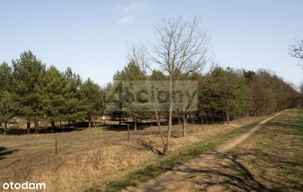 Działka, 2 121 m², Rajszew - Pełny obrazek: 5/5