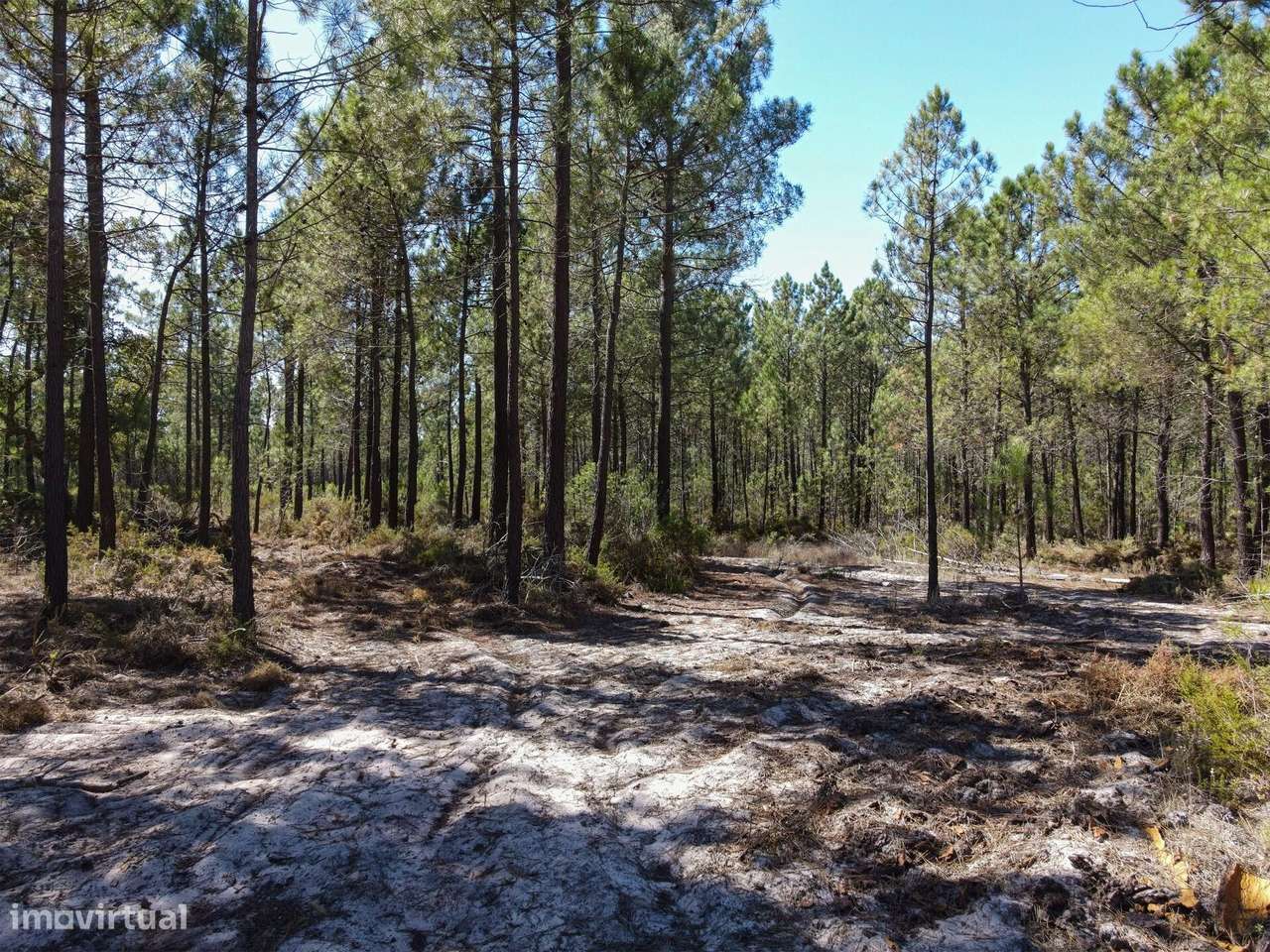 Quinta na Muda, Comporta — 48.540 m2 | Projecto aprovado | Arquitecto - Grande imagem: 1/27