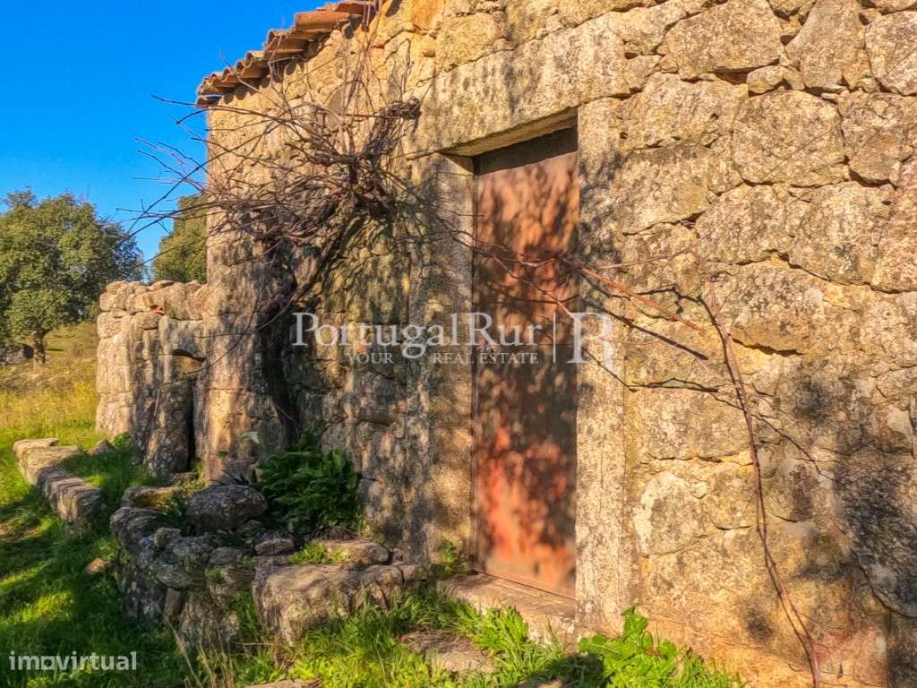 Quintinha com 1,2ha e ruína urbana em São Miguel Acha - Grande imagem: 2/28