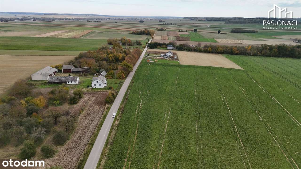 Działka na sprzedaż, Jabłonna - Pełny obrazek: 4/5