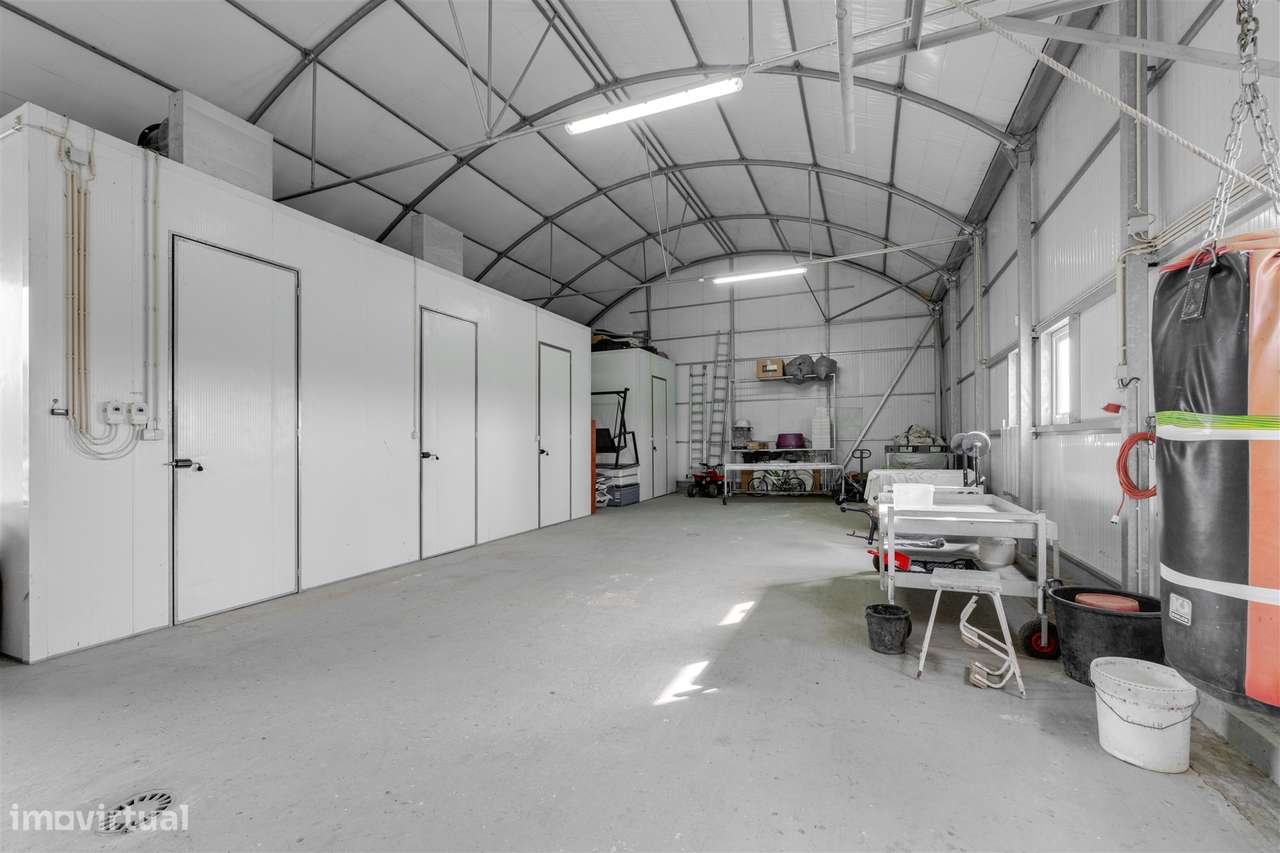 Quinta Biológica - Monte de Palma em Sao Manços com negócio.-25