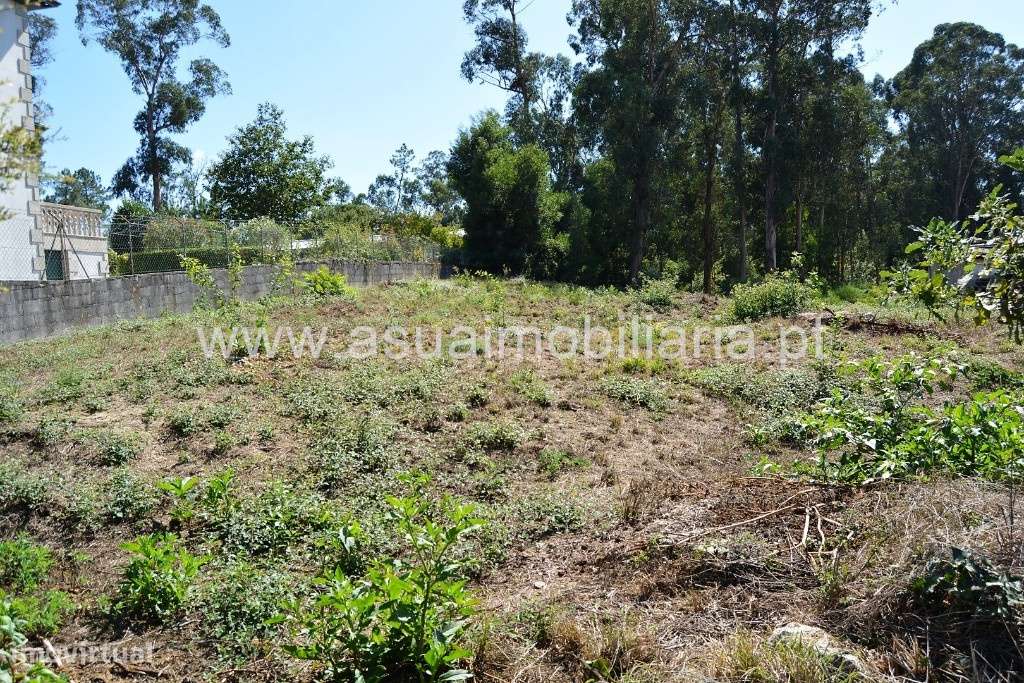 Terreno Agrícola - Barreiros - Grande imagem: 4/10
