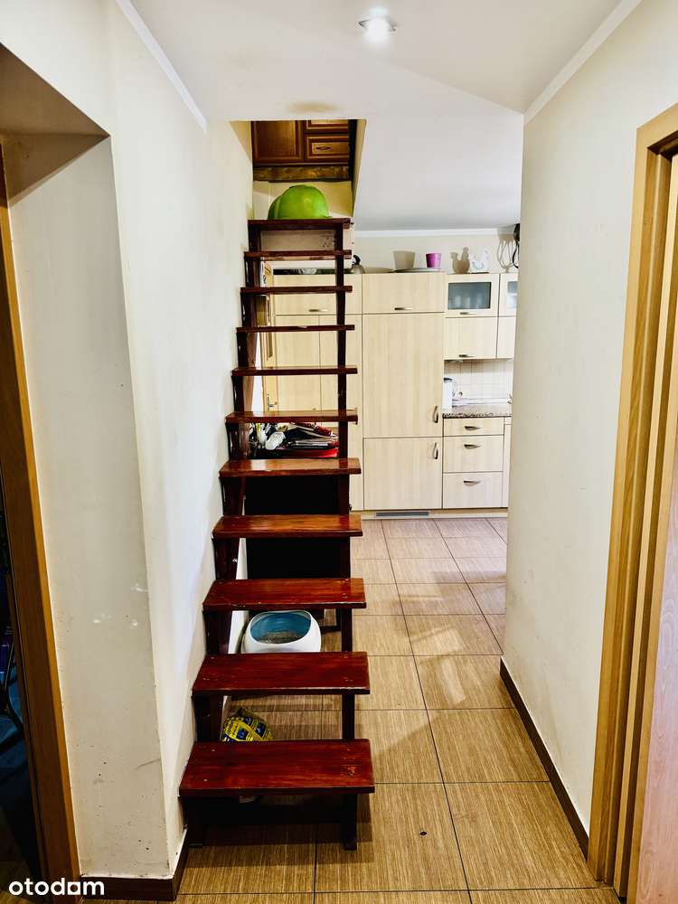 Dom Starogajowa/Stabłowice/Wrocław - 727 m2 działka - 60 m2 dom - Pełny obrazek: 4/15