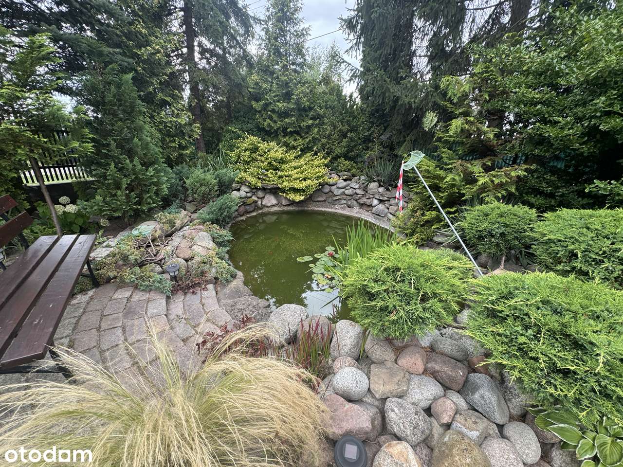 Jaworowa k. Raszyna - Pełny obrazek: 5/19