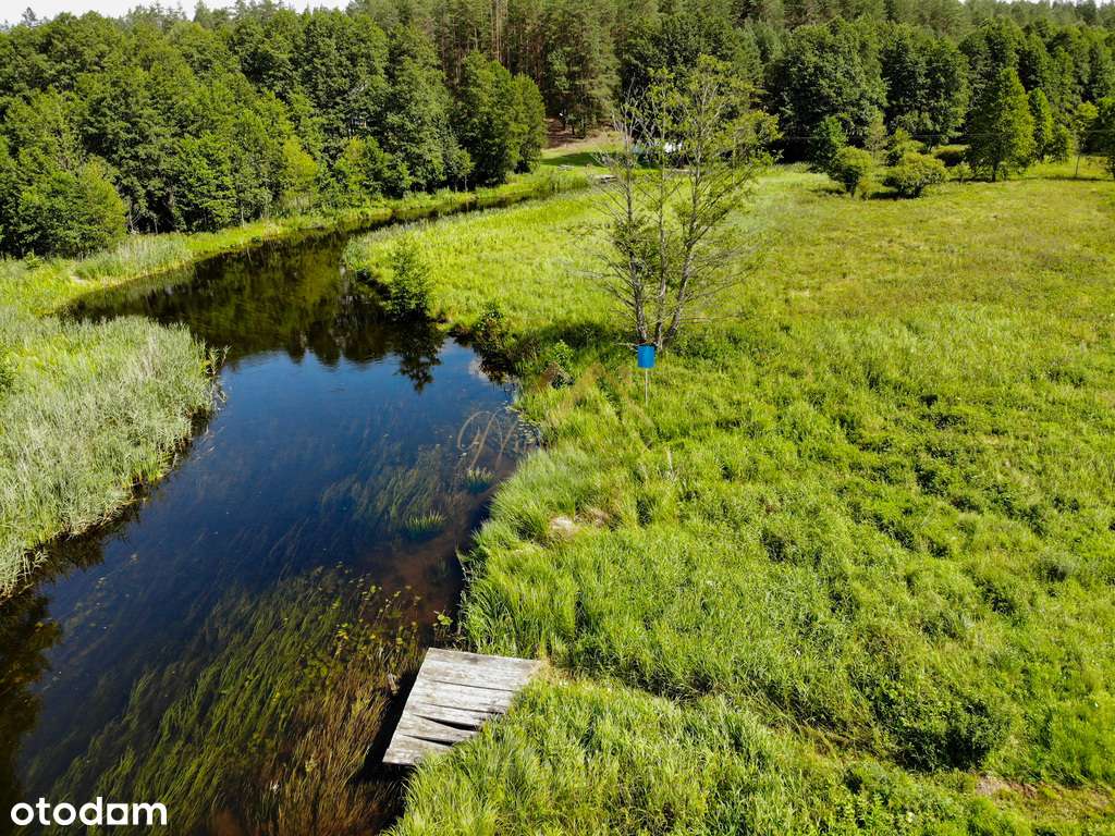 Twoja ostoja w sercu Puszczy Augustowskiej-4