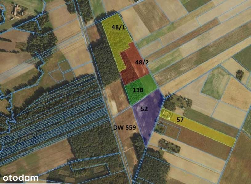 Atrakcyjne działki - Izabelin gm. Brudzeń Duży - Pełny obrazek: 4/4