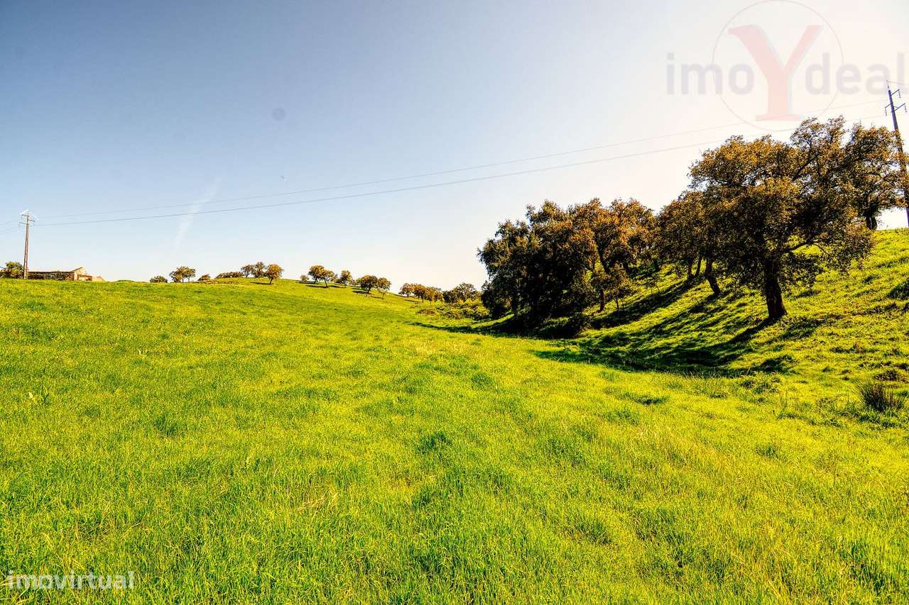 TERRENO EM S.BARTOLOMEU DA SERRA-18