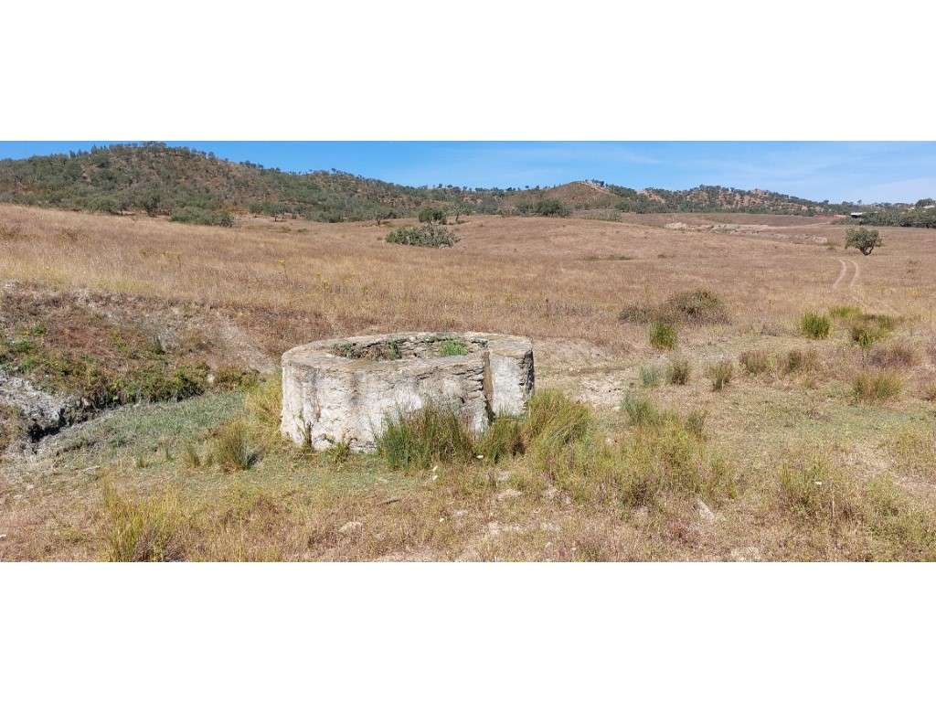 HERDADE 92 ha l Colos-48