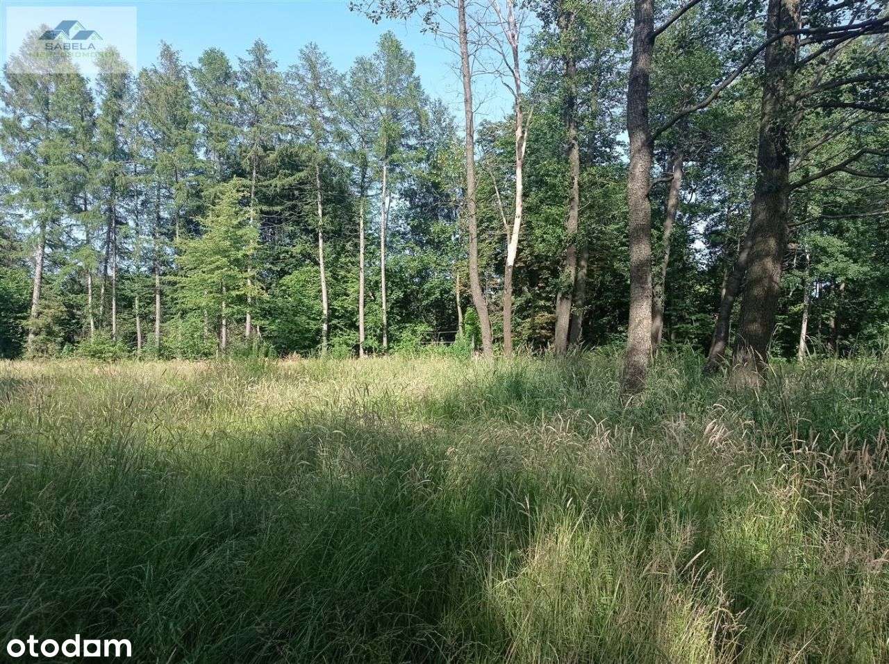 Płaska działka z warunkami zabudowy Ustroń Nierodzim-2