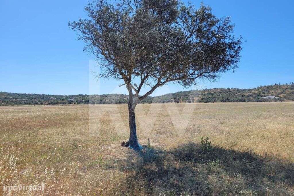 TERRENO RÚSTICO EM TUNES - Grande imagem: 5/13