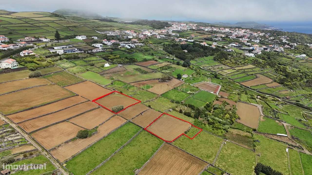 Terrenos agrícolas  na zona da Ladeira Grande – Ribeirinha, Ilha Terce-5