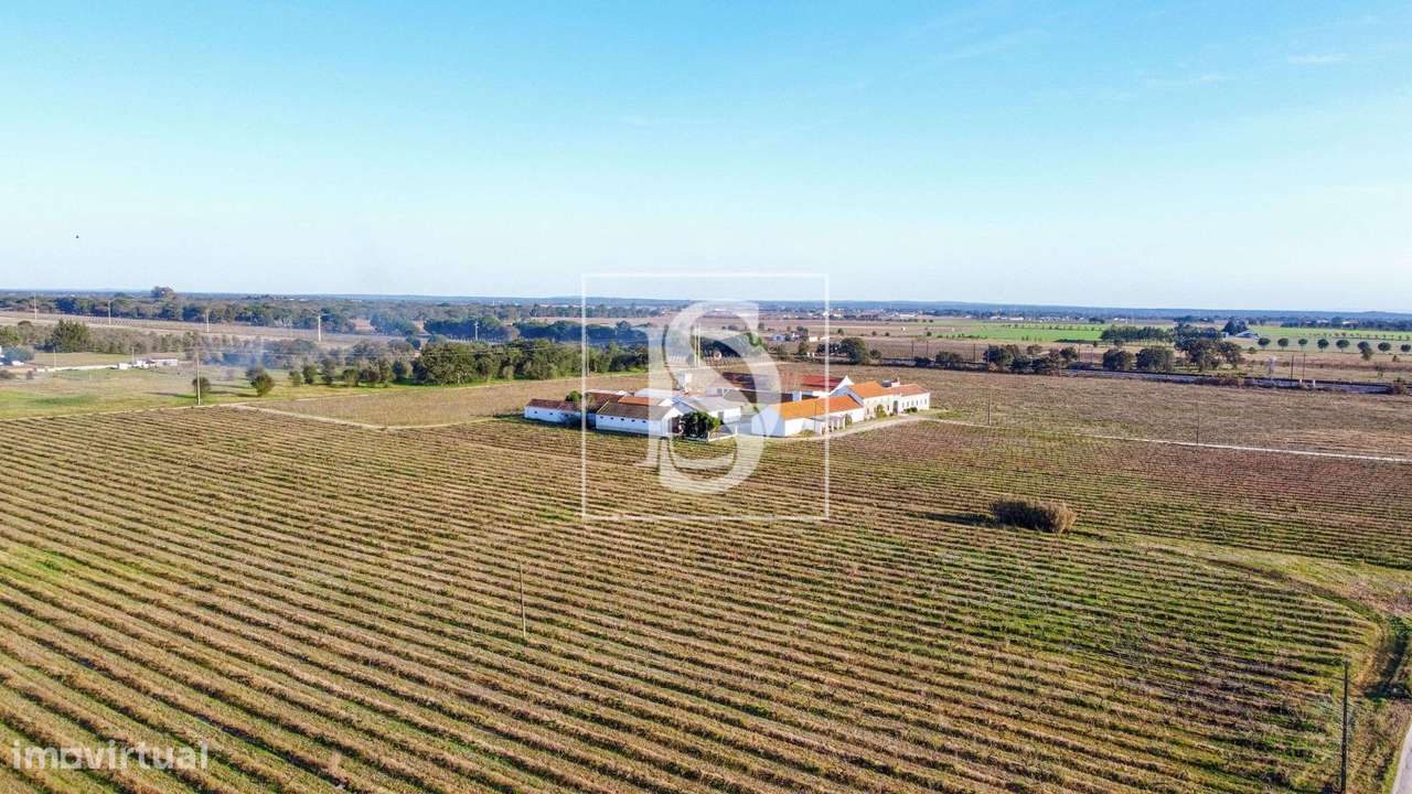 Herdade T3+2 Venda em Poceirão e Marateca,Palmela-28