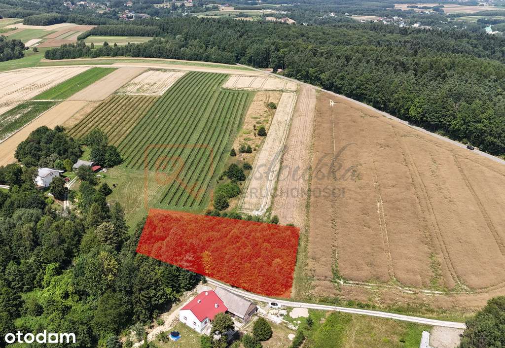 Działka budowlana Wola Rafałowska 39ar - Pełny obrazek: 5/11