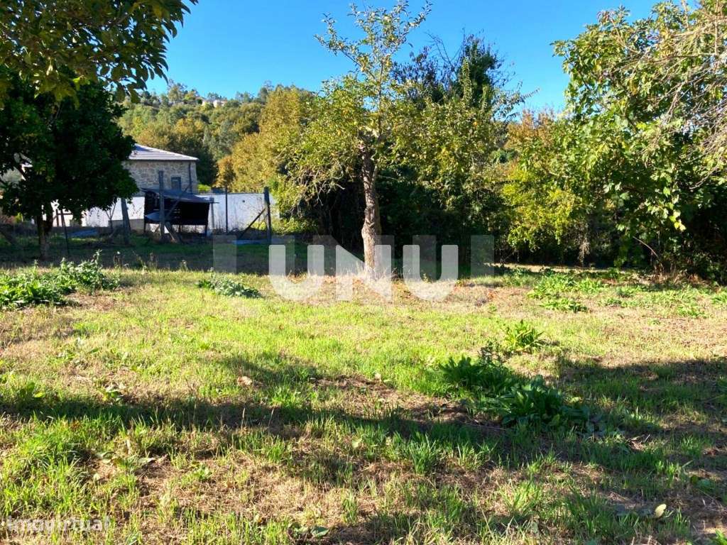 Quinta - Rodeada de Natureza-50