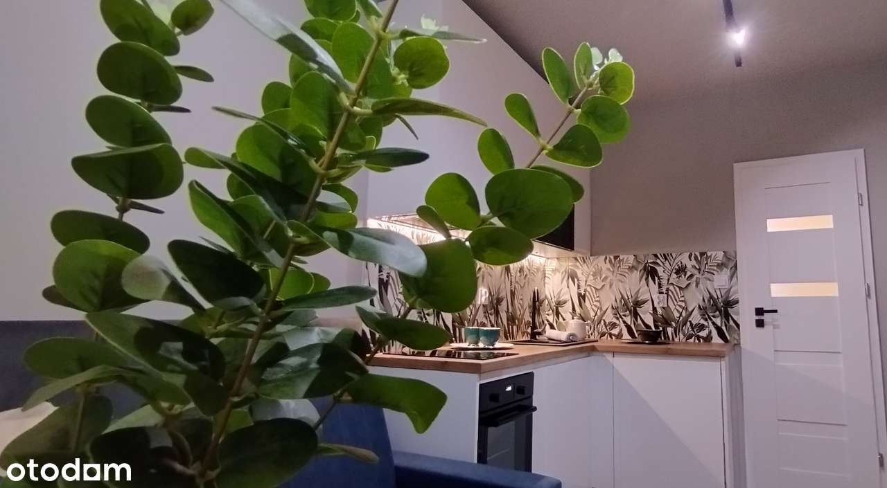 Nowoczesne mieszkanie Wysoki standard +BALKON Nova Mikołowska KATOWICE - Pełny obrazek: 5/20