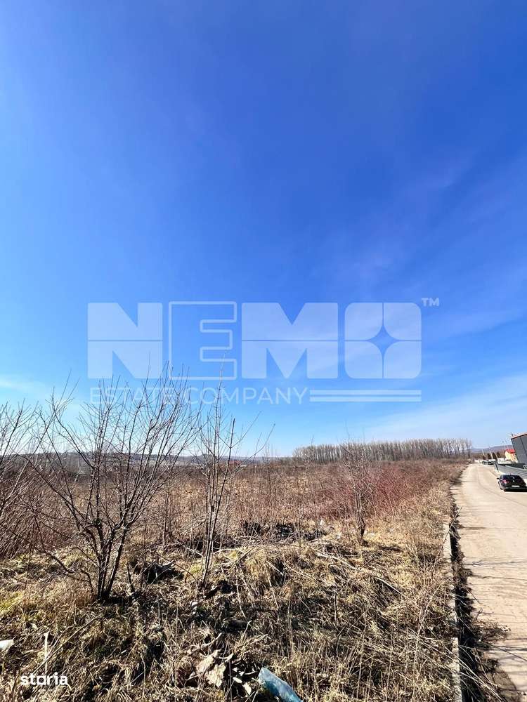 Vanzare I tTerenIntravilan I Suceava/Itcani I 18650 Mp I 89Euro/Mp - Imagine principală: 5/8