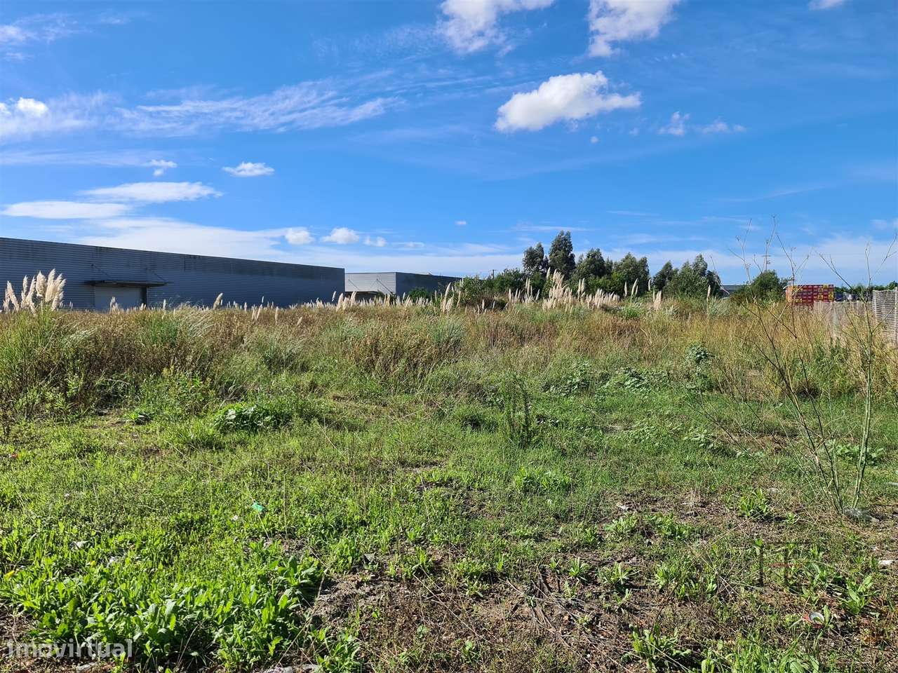 Terreno Industrial Premium em Ovar - Grande imagem: 2/4