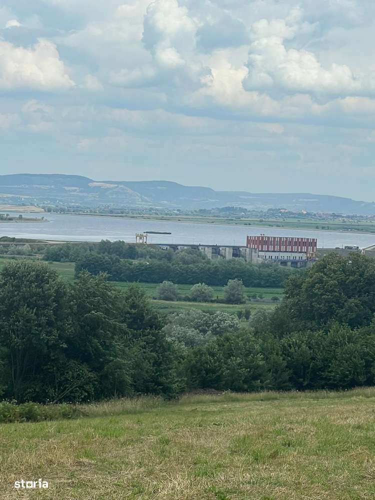 Teren între Tălmaciu și Racoviță – 25.000 mp în mijlocul naturii! - Imagine principală: 5/5