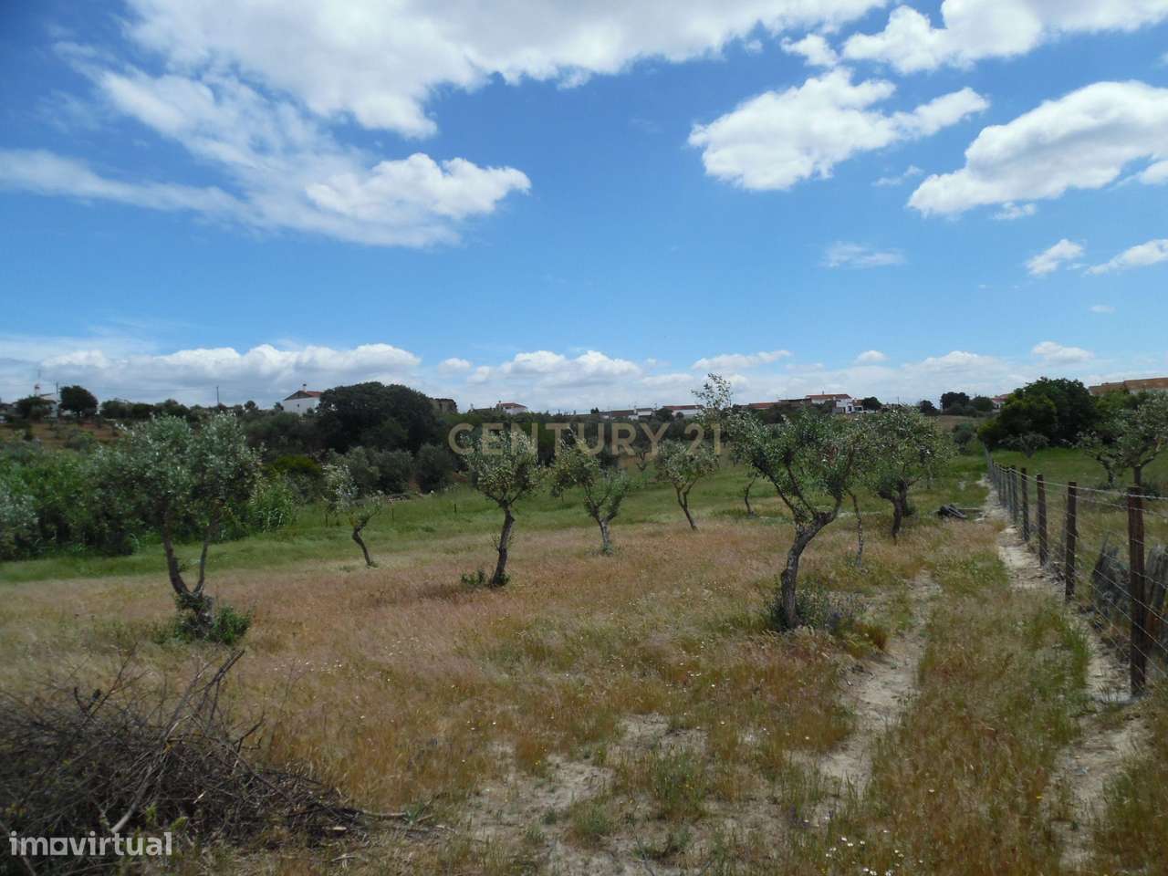 Quinta em Capelins,  Alandroal - Évora,  Oportunidade Única-51