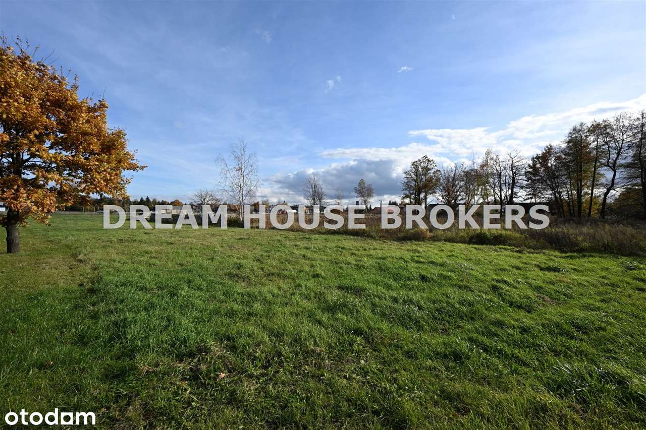 Działka 2 ha przy DW869 i A4 – wynajem Głogów Młp - Pełny obrazek: 4/9