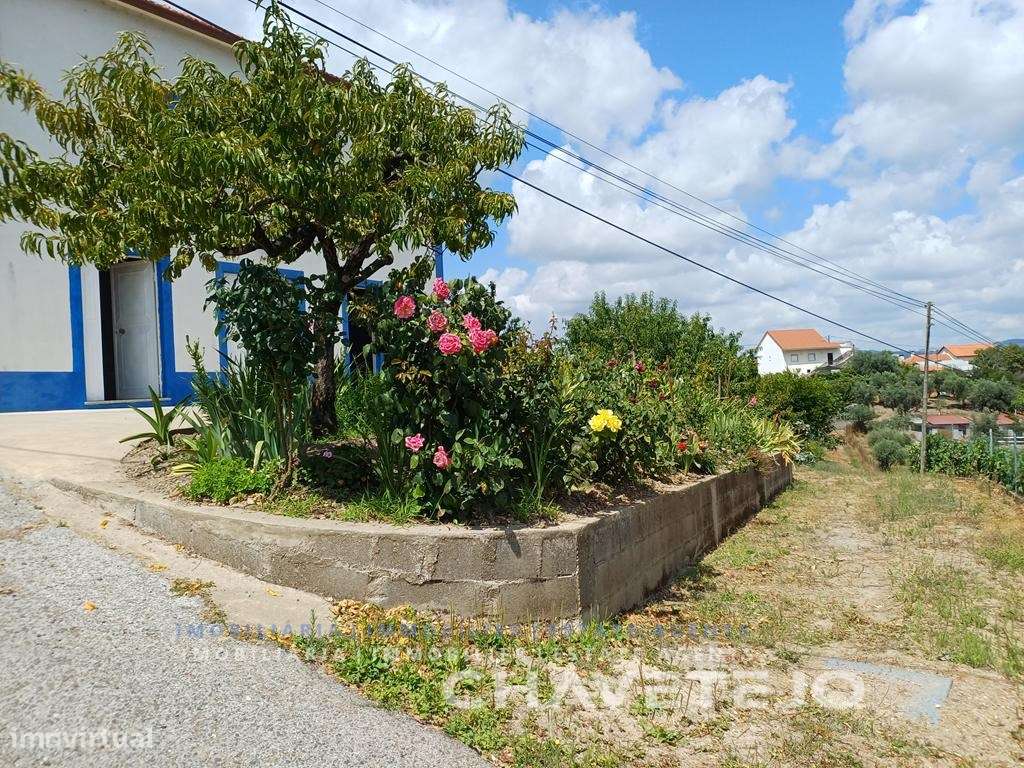 Moradia de Campo com Terreno, Furo de Água e Olival-32
