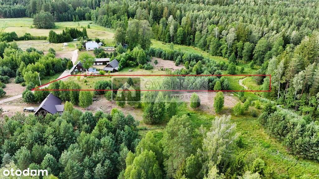 Płaska – Działka nad Rzeką pod Twój Wymarzony Dom! - Pełny obrazek: 5/8