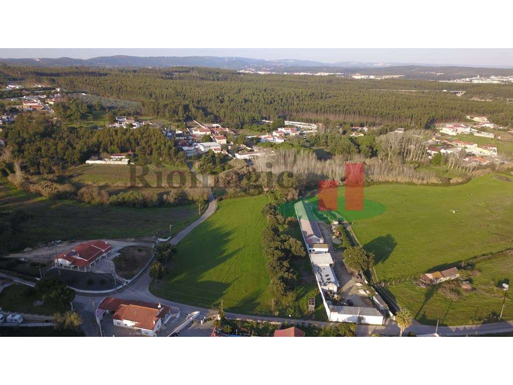 Terreno Rústico em Asseiceira***RIOMAGIC*** - Grande imagem: 4/13