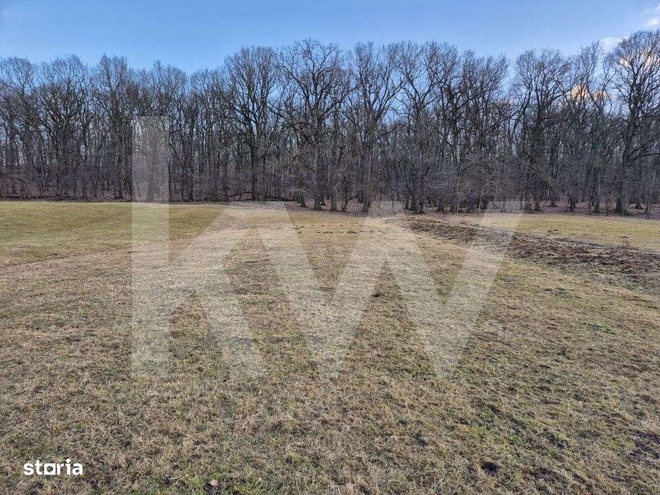 Teren de vanzare – 2.106 mp, agricol extravilan, Calinis, Rasinari - Imagine principală: 4/6