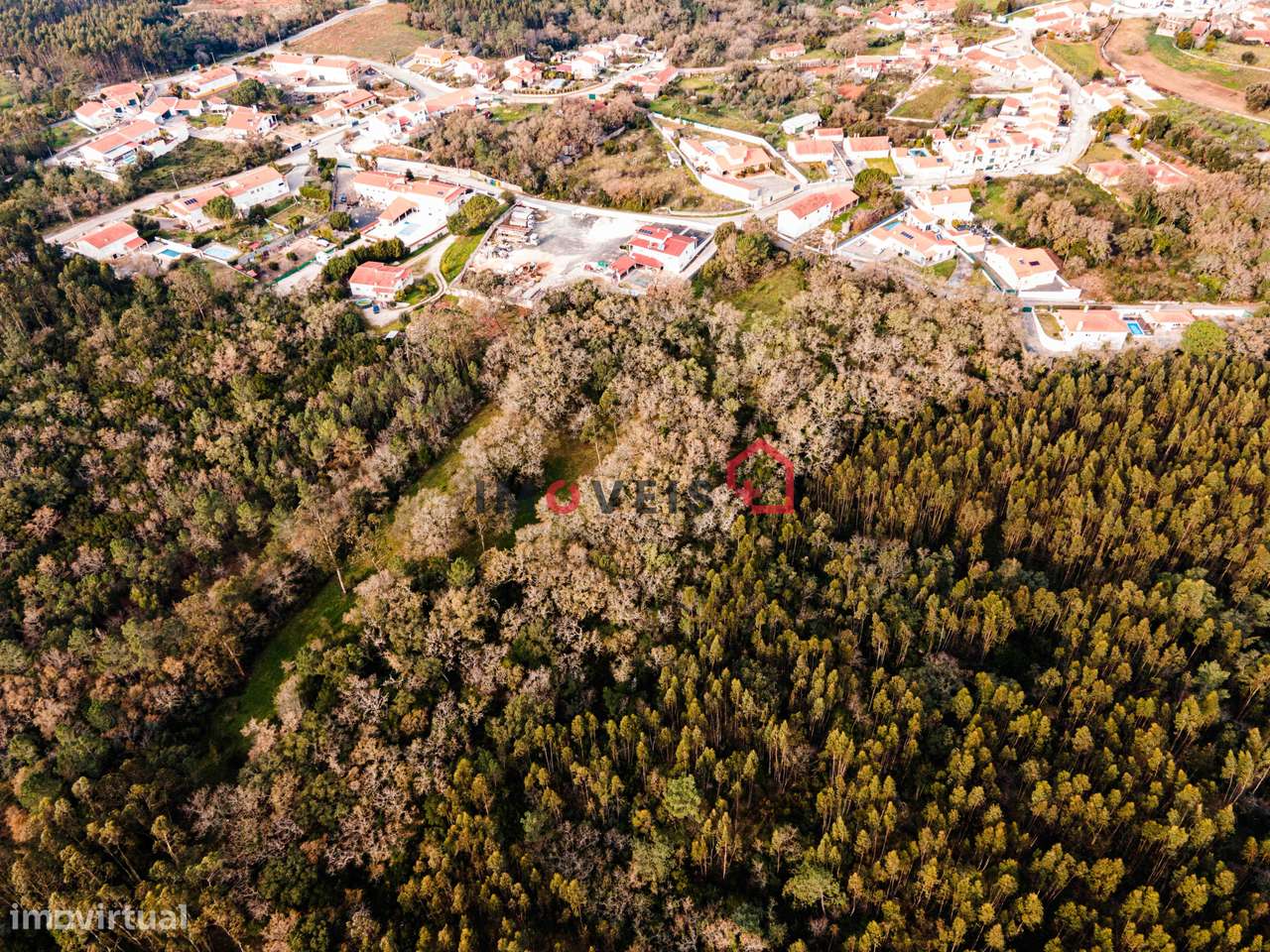 Terreno - Covão Alto - Aljubarrota - Grande imagem: 4/37