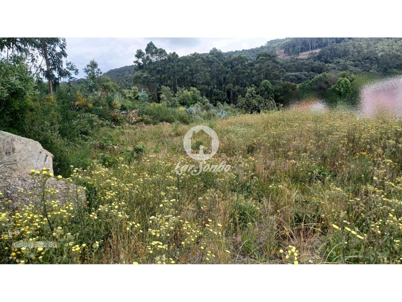 Terreno Urbano de 4.495m2 em Couto S. Miguel, Sto. Tirso - Grande imagem: 3/11